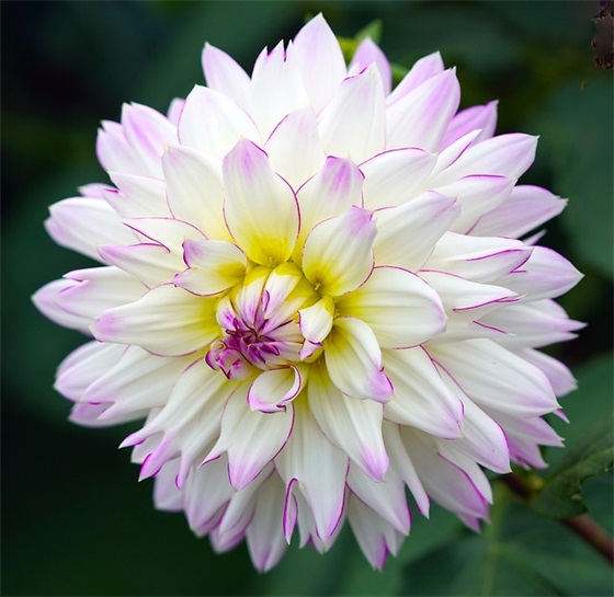 拼搏到感动自己的句子 感动自己的句子