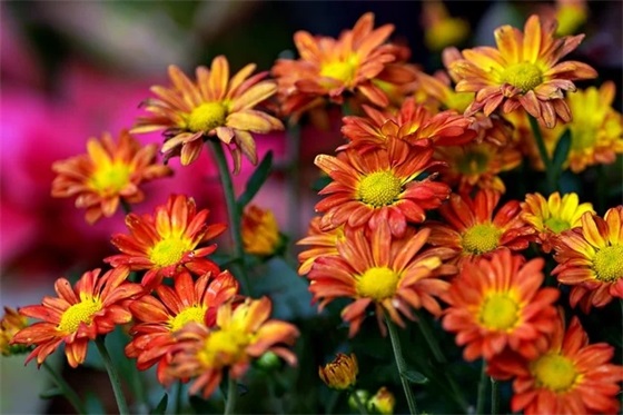 青春励志句子手写 文艺青春励志句子