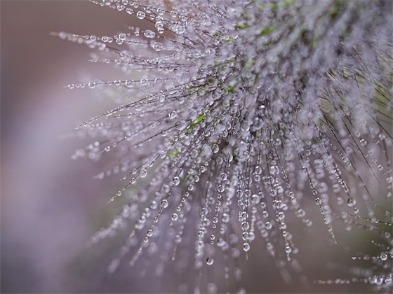 九月第一天的心灵鸡汤句子