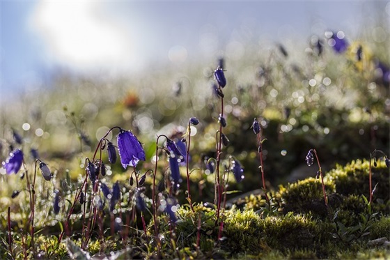 关于鼓励学习的句子