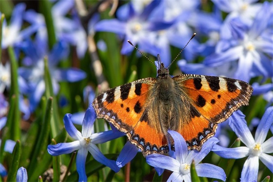 110周年校庆祝福语20句 110周年校庆祝福语20句