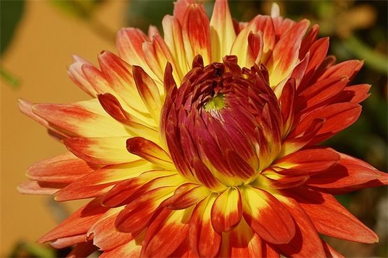 送给女儿结婚祝福语 给女儿的结婚祝福语 送给女儿结婚祝福语 给女儿的结婚祝福语