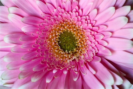 2026年对孩子春节祝福语大全34句 2026年对孩子春节祝福语大全34句