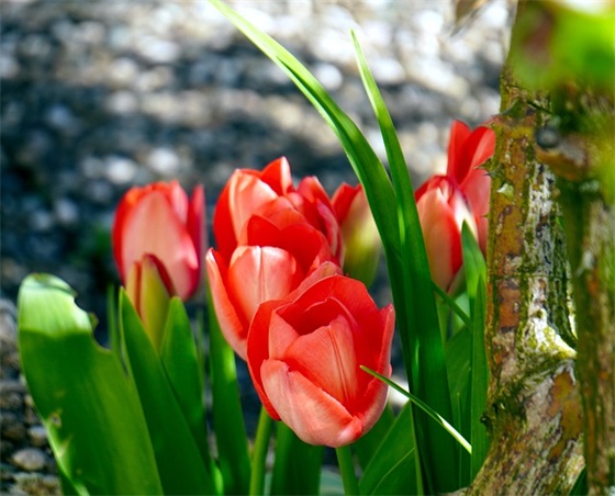 2026元旦祝福客户的简短话语