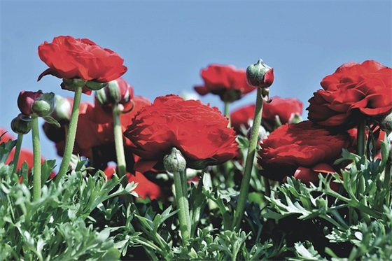 幼儿园毕业孩子祝福语48句 幼儿园毕业孩子祝福语48句