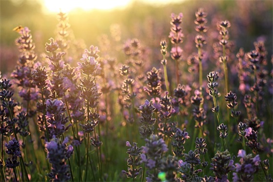 一岁生日祝福语23句 一岁生日祝福语23句