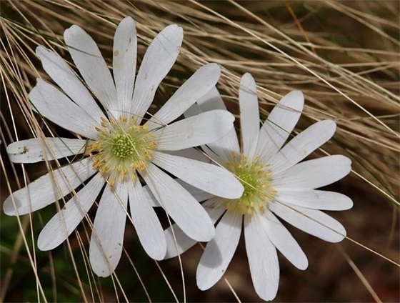 弘扬普通话的宣传标语 普通话宣传标语有哪些