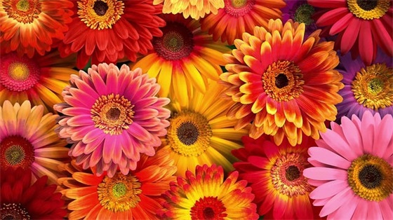 霸气班级口号八字91句