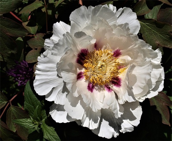 宽带宣传口号83句