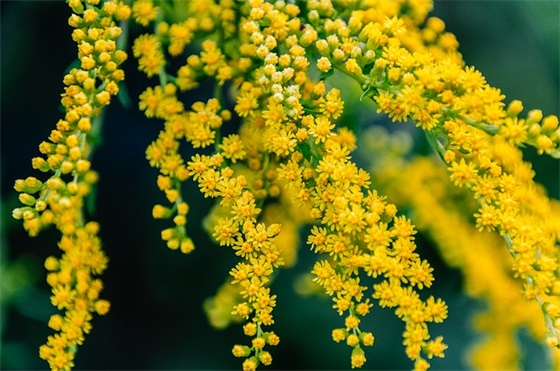 学校花池标语 学校四字标语