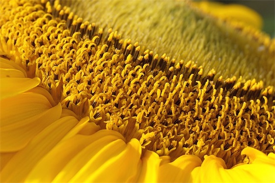 办公室励志标语字94句