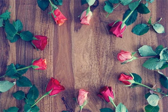 六班运动会口号大全81句