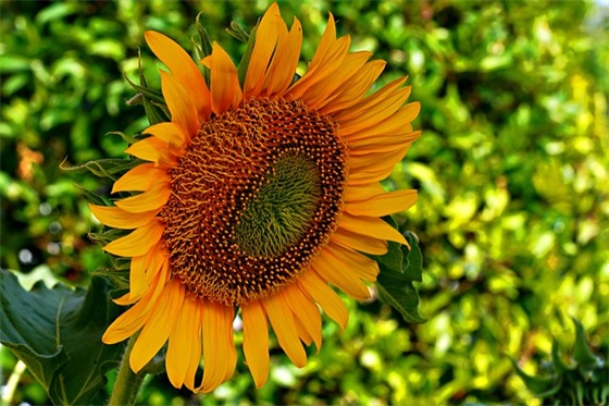 创新班级口号87句