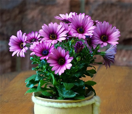 坚强励志的句子 女人坚强励志的句子致自己