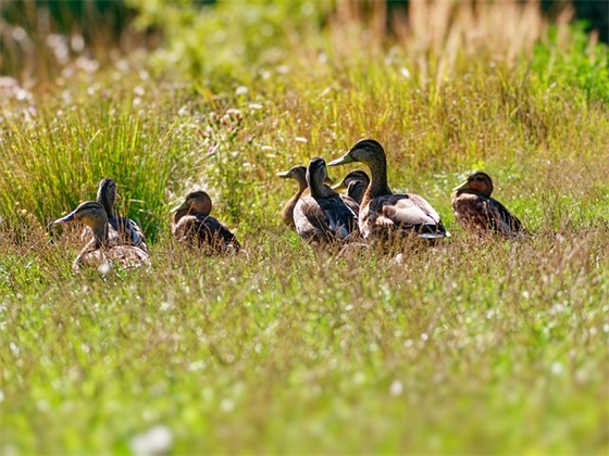 关于活在当下的句子 关于当下的句子
