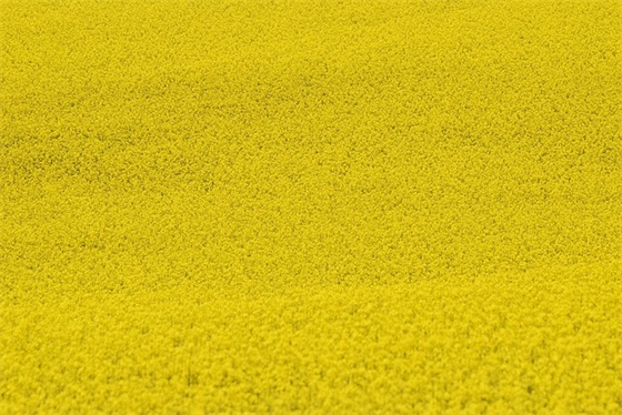 在一起不容易珍惜彼此感情的句子