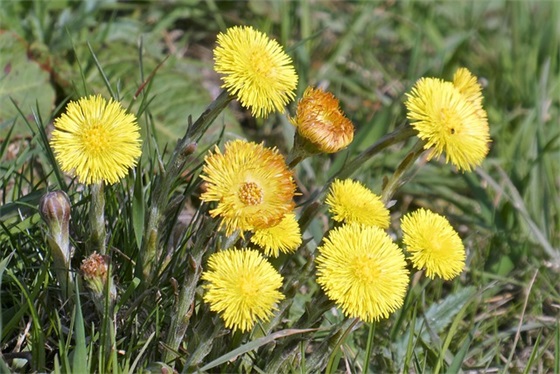 表明时间过得快的一段话(描写时间过得快的句子)