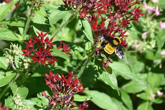 沙雕到极致的句子 一针见血的搞笑金句