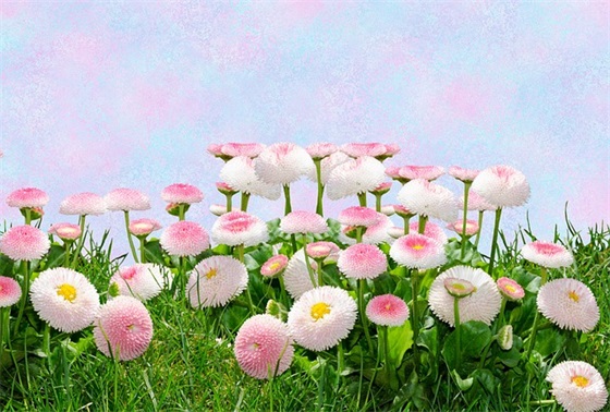 见不了光的爱情伤感句子