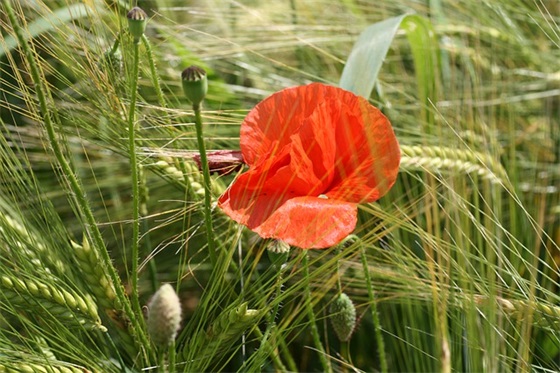 爱情里一读就心酸的短句 那些一读就心酸得想哭的句子