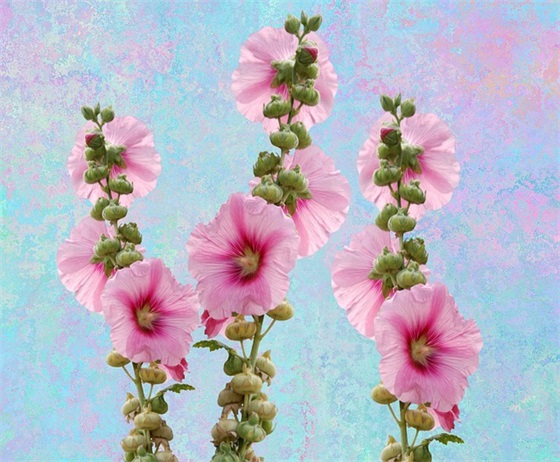 古风古韵的句子