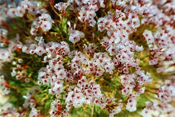 搞笑的段子让人笑喷 诙谐幽默的搞笑句子