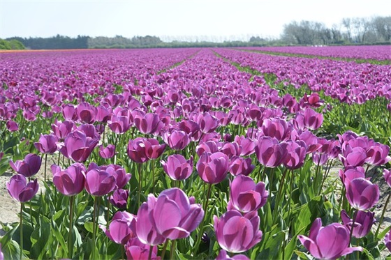 人生感悟的简短句子抖音