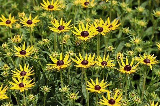 有乐趣的幽默聊天句子