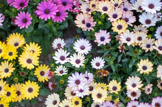 学校控辍保学宣传标语 控辍保学宣传标语