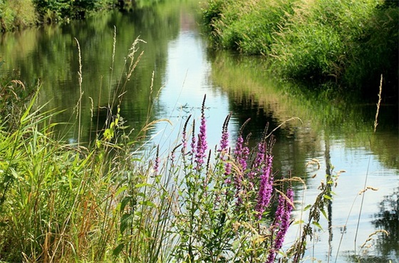 生态文明建设宣传口号 生态文明建设口号