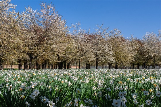 2026森林防火宣传标语_护林防火口号大全