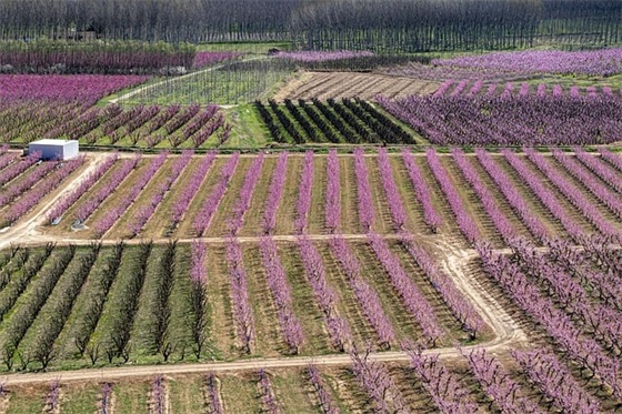 交通安全警句标语 幼儿园交通安全标语警句 交通安全警句标语 幼儿园交通安全标语警句