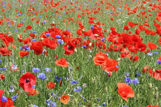 精选的公路路政管理标语大全(高速公路路政管理)