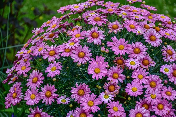 关于垃圾分类的标语