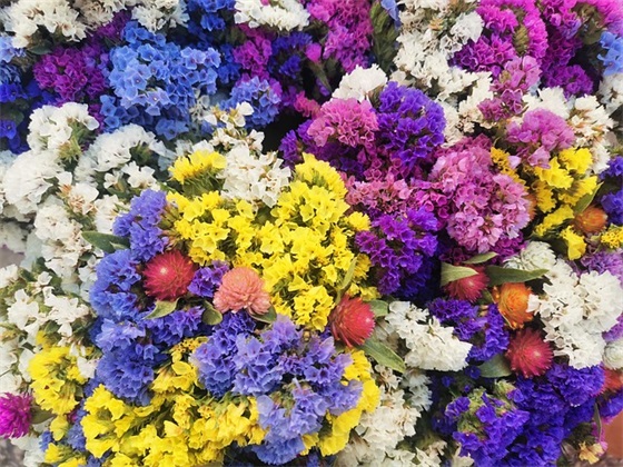 4s店活动宣传口号51句