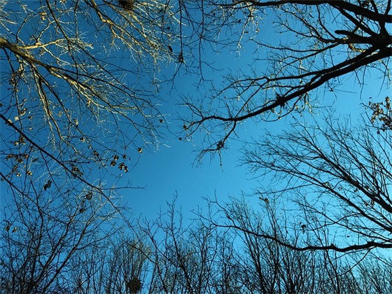 大学生支教活动宣传标语 大学生支教活动背景