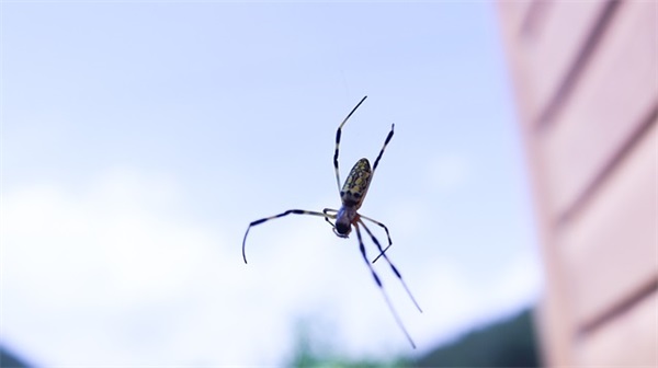 企业足球赛标语 足球赛标语