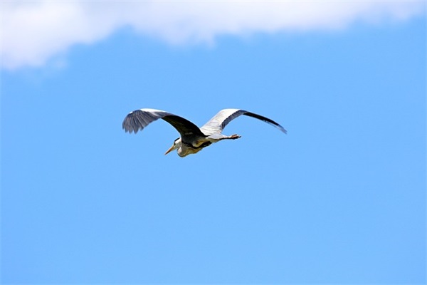 超市或集市的广告标语大全