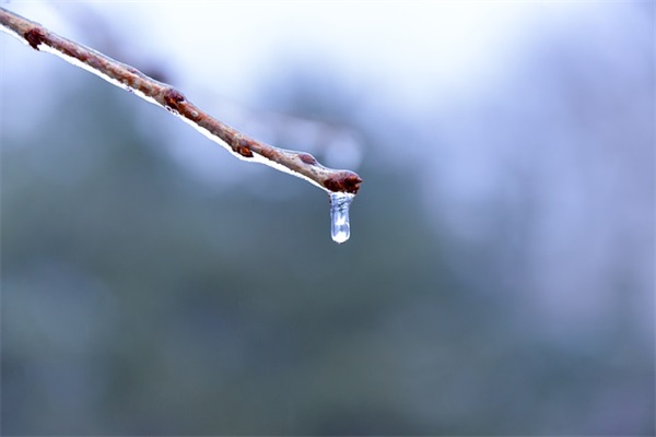 高中运动会班级口号82句