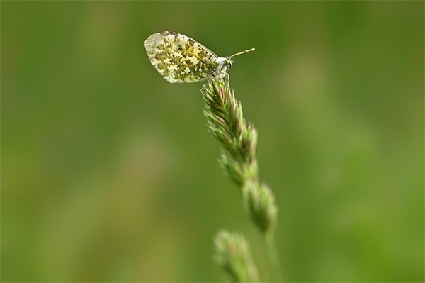 环保使命口号大全84句