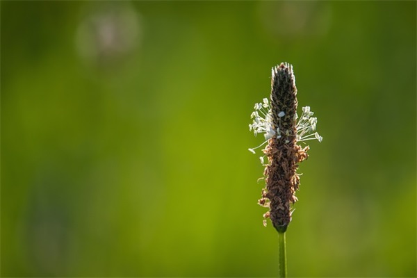 霸气班级跑步口号大全83句