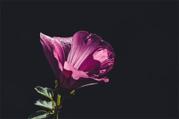 寒假祝福语19句