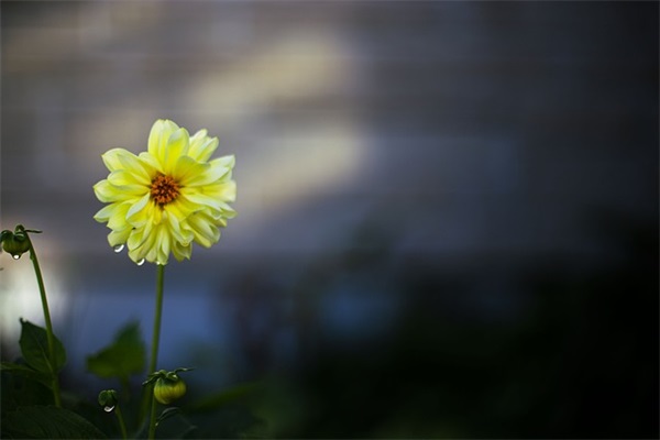 宝宝满一岁祝福语 女宝宝满一岁祝福语