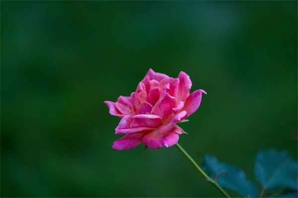 搬新家的红包祝福语 搬新家怎么发红包祝福语