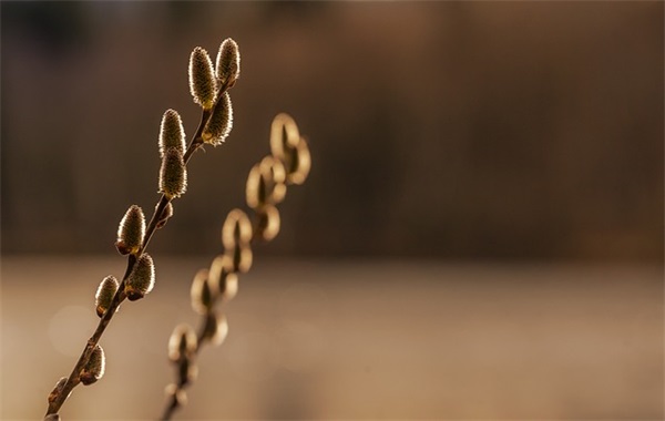 朋友药店开业祝福语 朋友新店开业祝福语