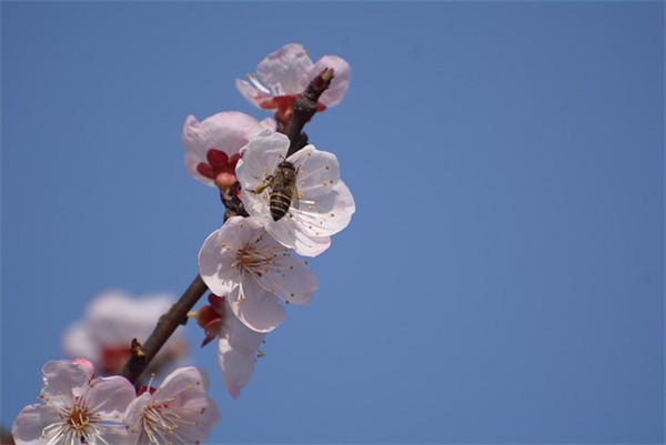 恭贺乔迁之喜的祝福语 祝福乔迁之喜的祝福语
