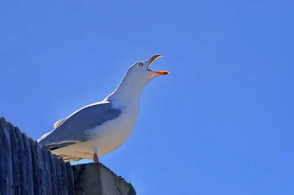 中考励志口号英文 中考励志口号英文