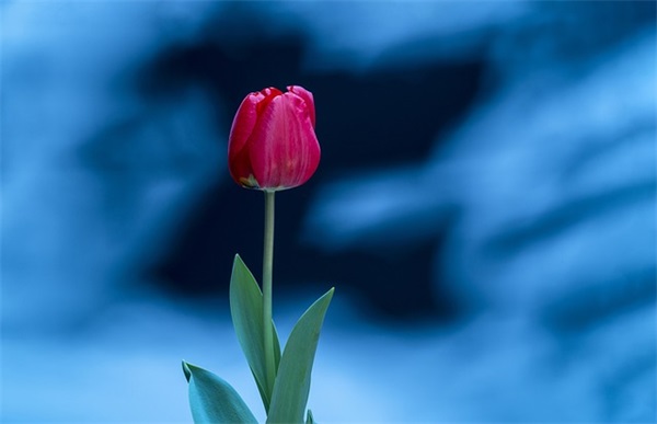 销售二部口号 销售二部口号