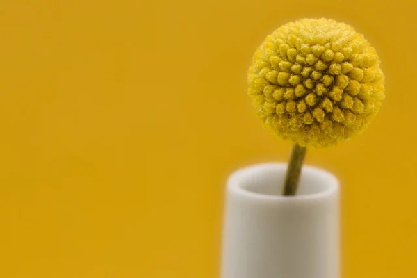 销售口号字 销售口号字