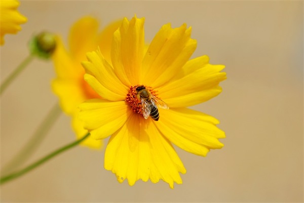班级口号16字押韵 初中 运动会 班级口号16字押韵 初中 运动会